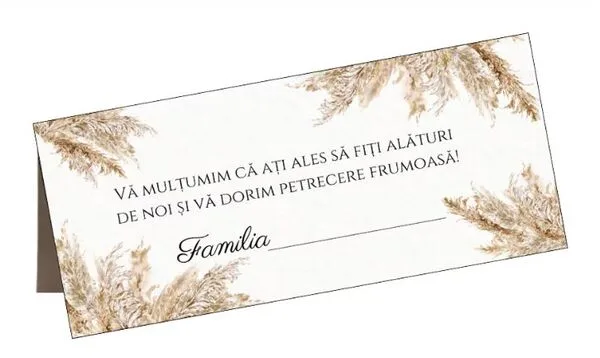 Plicuri de bani pentru nunta si botez - plic 39
